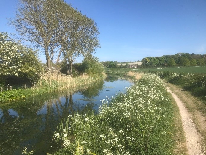 The Biodiversity and natural beauty of the restored Wendover Canal
