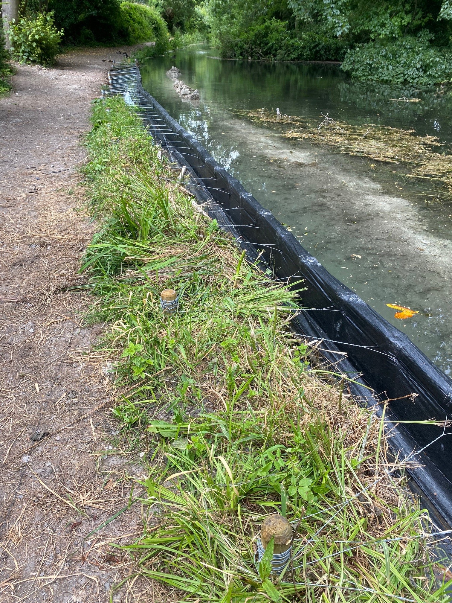 Wendover Canal Trust Wendover Canal Towpath Update